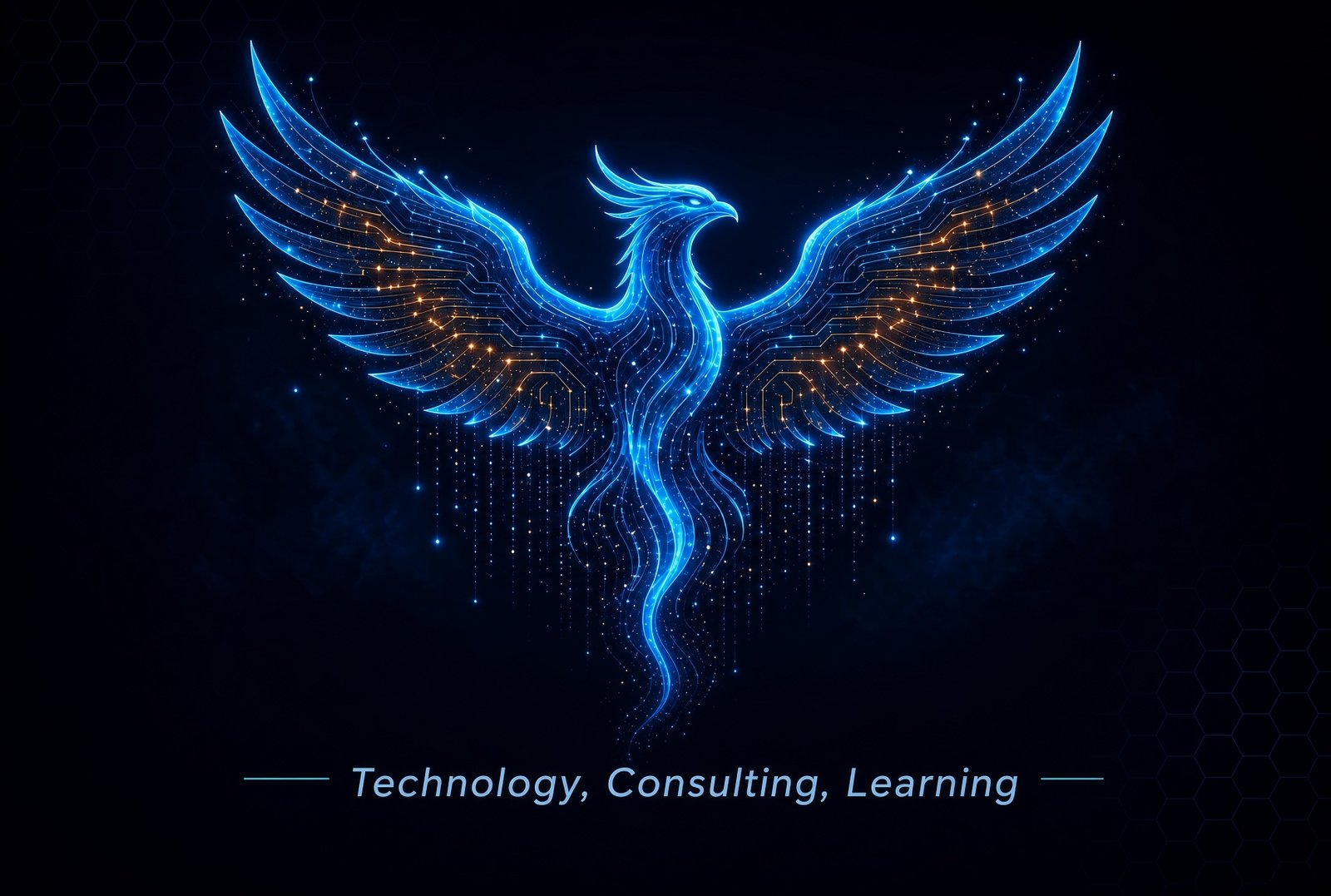 Anjit Bose Technology Consulting logo